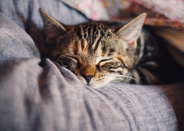寝ながらイヤホンでぐっすり眠り、爽やかに目覚める人のイメージ