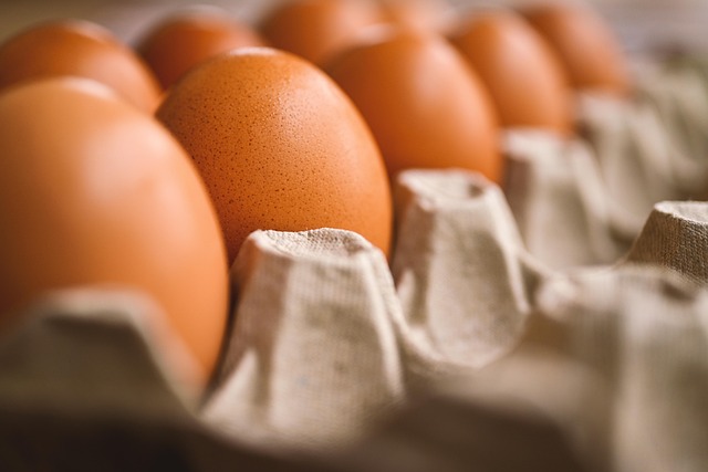 多種多様な離乳食冷凍トレーに悩む様子