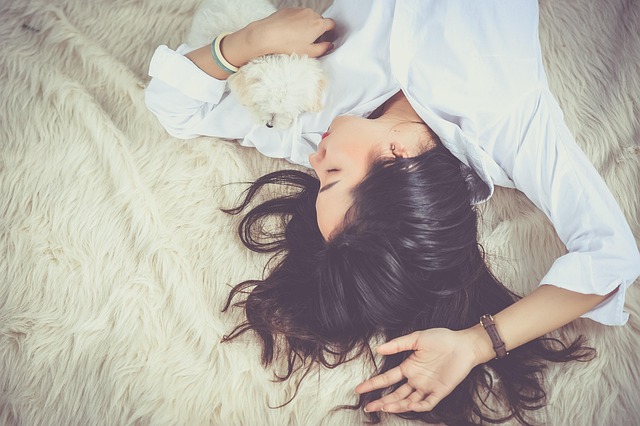 犬の健康を気遣う飼い主と、安全なおもちゃ