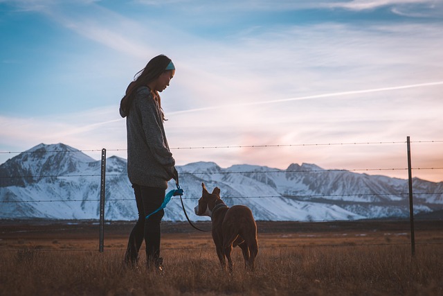愛犬と飼い主が笑顔でおもちゃで遊ぶ、幸せな光景
