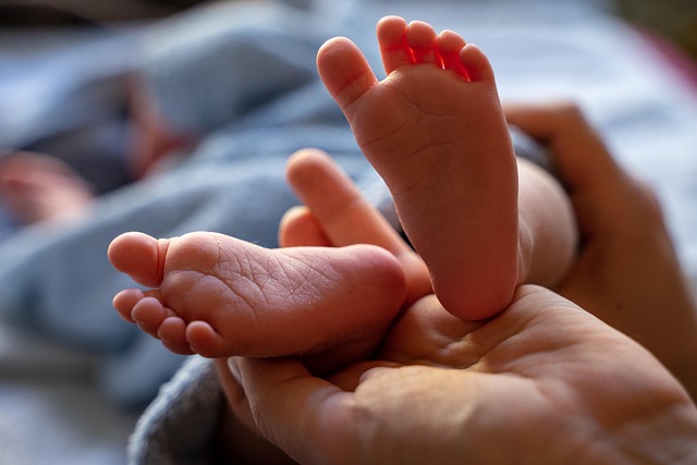 抱っこ紐で快適にお出かけする親子の後ろ姿