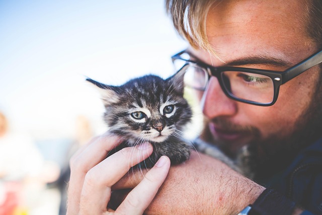 ペットが給水器から水を飲み、飼い主が笑顔で見守る幸せな光景
