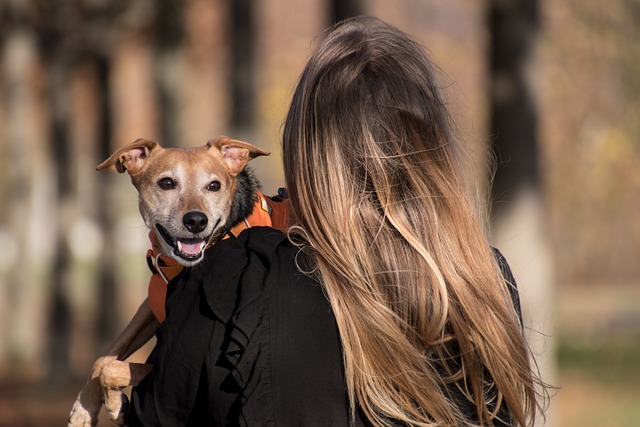 犬と犬用サークルでくつろぐ飼い主