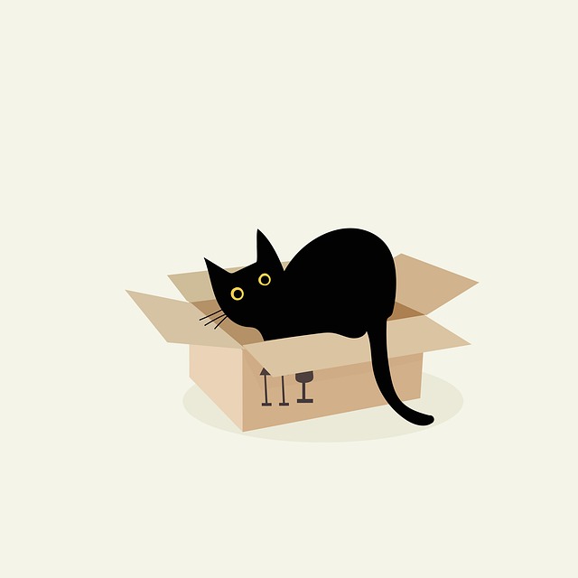 猫がダンボール爪とぎでくつろぐ様子