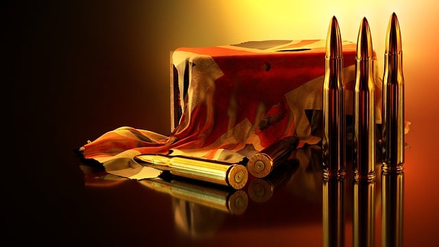 ミキサージューサーで健康的な生活を送る女性