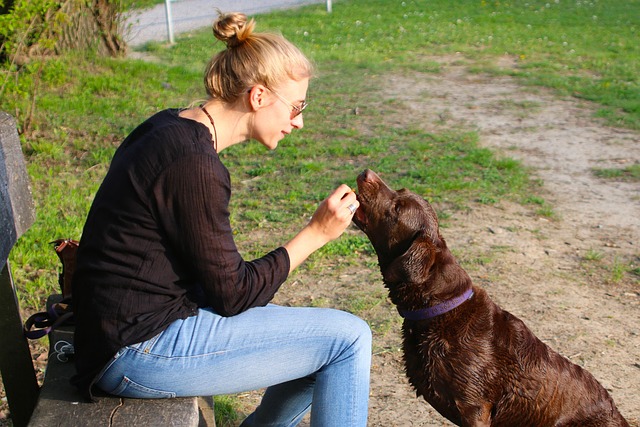 愛犬と飼い主が笑顔でロープ遊びを楽しんでいる、幸せな瞬間
