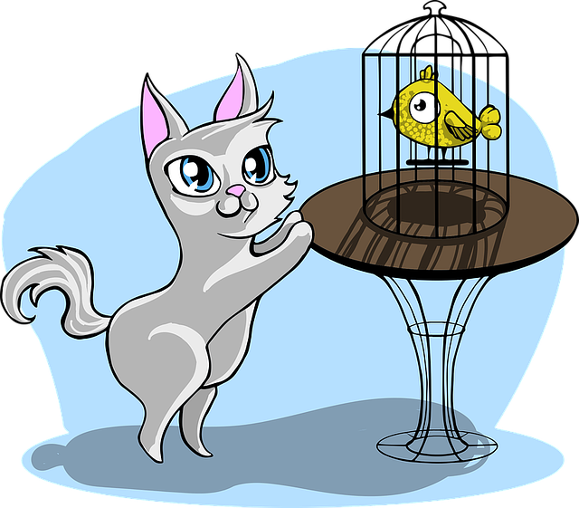 猫が快適に過ごせるように工夫されたケージと、その周りで遊ぶ猫