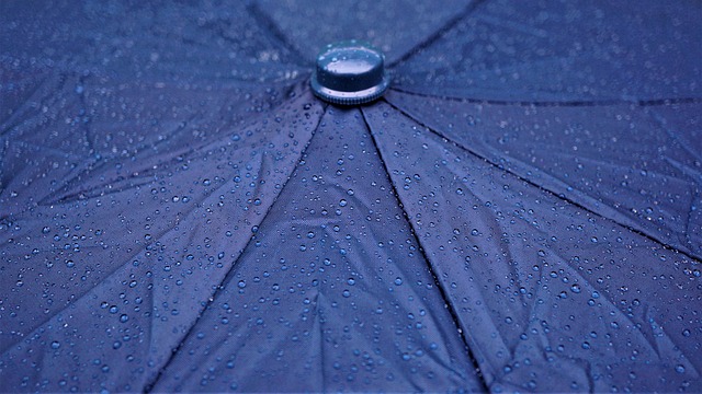 大雨の中、防水防災リュックを背負って歩く人の後ろ姿