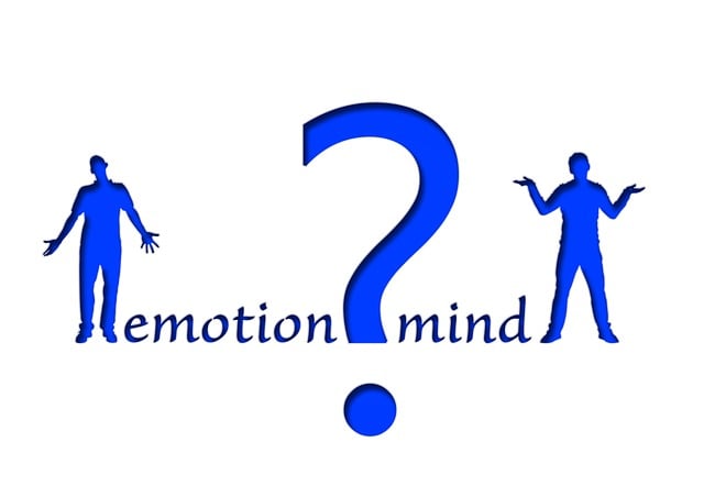 防災ホイッスルキーホルダーの比較表と選び方を考える人