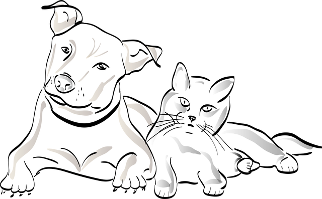 ソファでくつろぐ犬と猫、その奥にペットカメラが設置されている様子