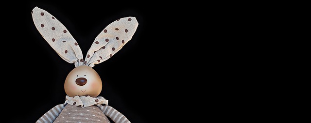 電動おもちゃで遊ぶ猫と、それを見守る飼い主の笑顔