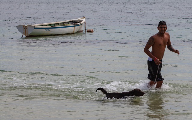 愛犬と飼い主がキャリーバッグを持って笑顔で散歩している様子